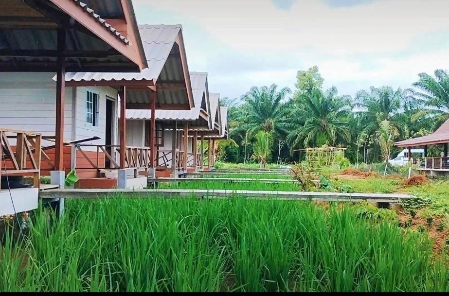 ปารมีฟาร์มสเตย์ Takuapa Zewnętrze zdjęcie